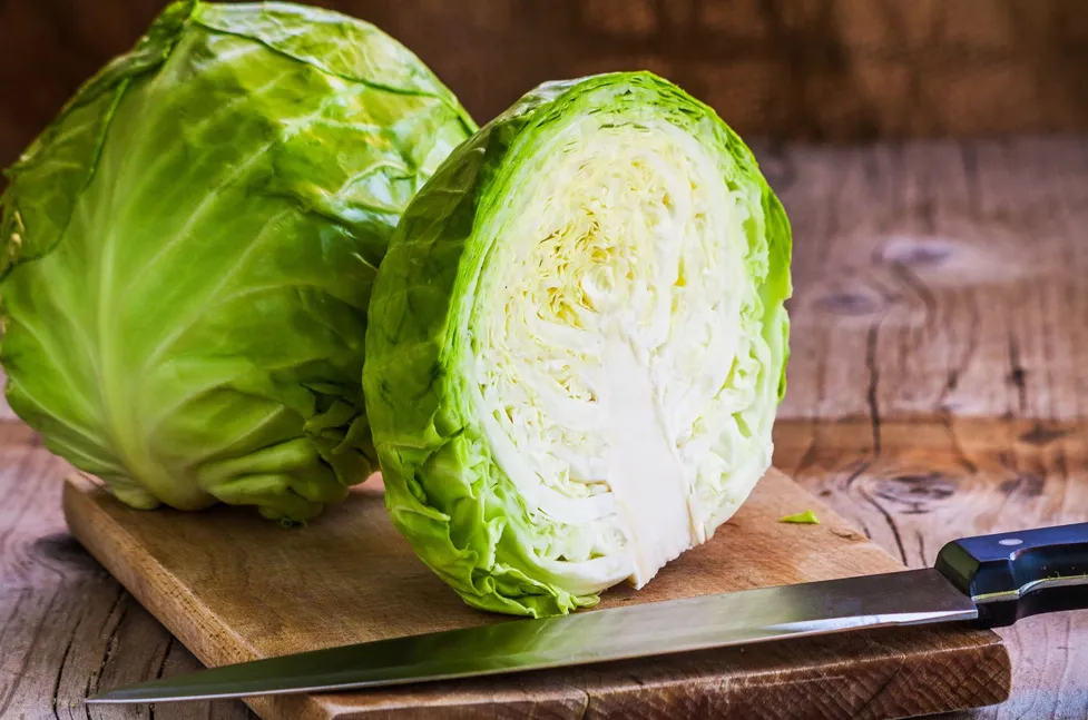 RECETA. La  extraordinaria col del restaurante Pangea al estilo Mamá de Rocco