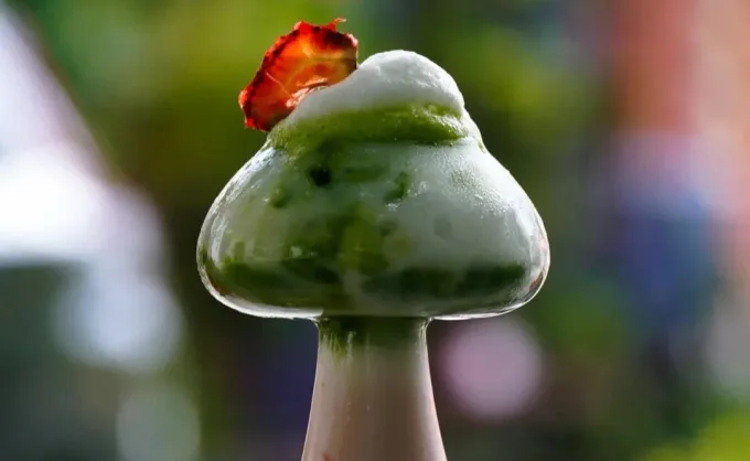 Adaptógenos: los extractos de hongos, plantas y raíces que mejoran la salud de manera orgánica, llegaron a las cafeterías de NL. Aquí 2 opciones en MTY