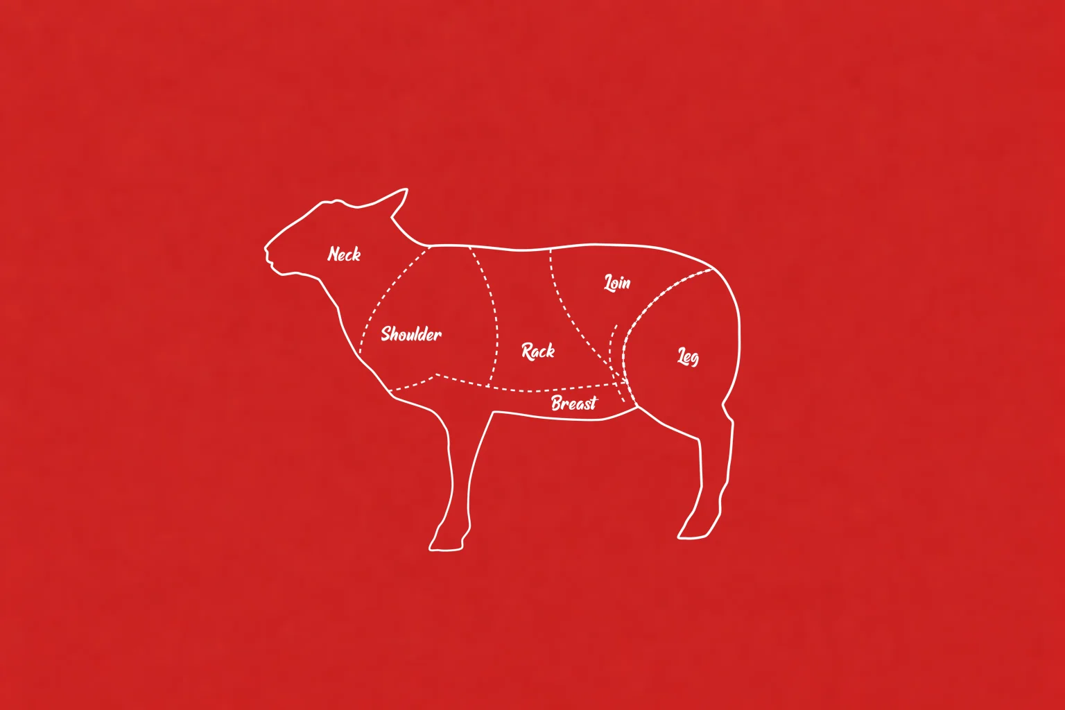 Cordero Americano: Historia, Producción y Ventajas de la Finalización en Grano