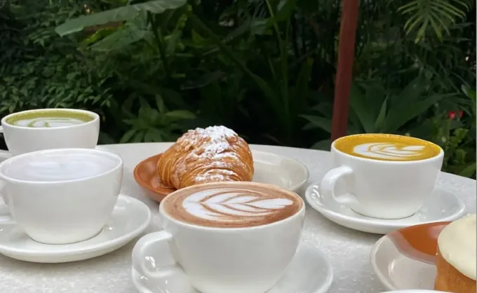En tendencia: restaurantes dentro de viveros o rodeados de muchas plantas. ¿Existen en NL? Sí. Aquí 7 opciones en MTY y SPG