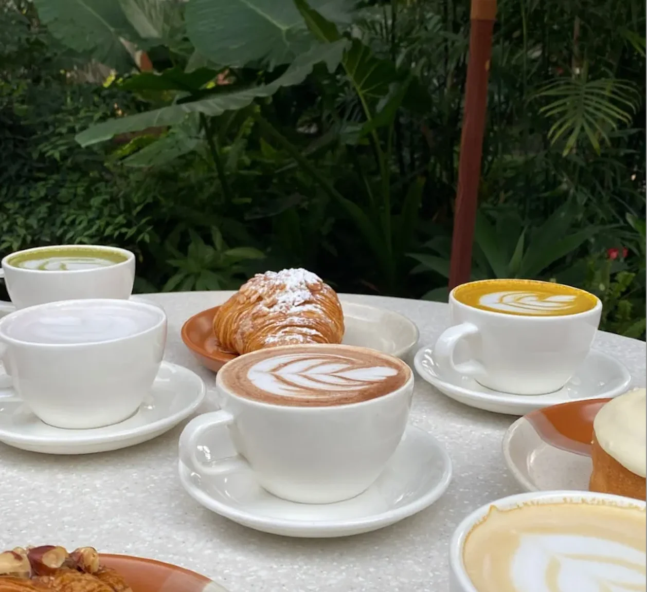 En tendencia: restaurantes dentro de viveros o rodeados de muchas plantas. ¿Existen en NL? Sí. Aquí 7 opciones en MTY y SPG
