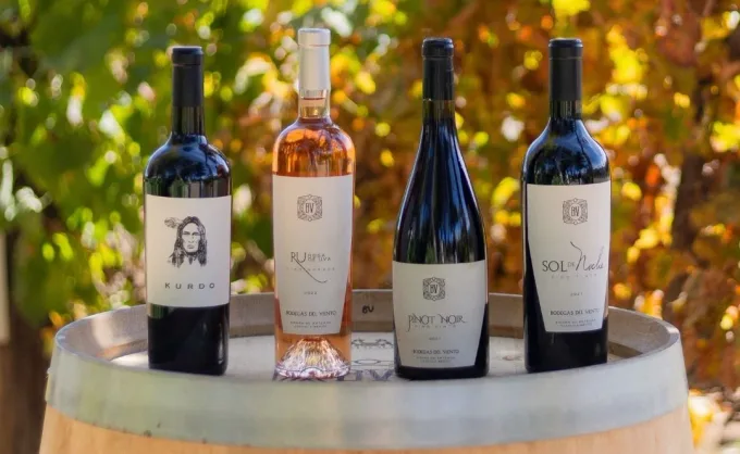 Cinco recomendaciones de Malbec: De Mendoza a Coahuila — Gastronomía en Monterrey, Nuevo León