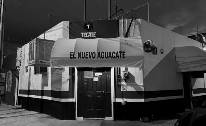 El Nuevo Aguacate
