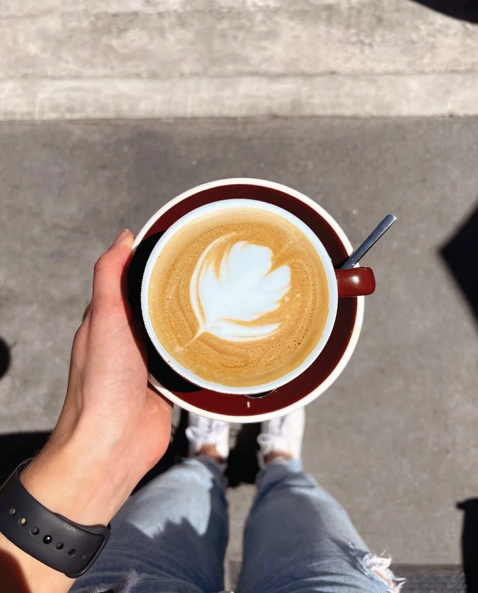 El café, poco a poco, se convierte en el nuevo símbolo de identidad de la juventud regia. Aquí las 6 barras de especialidad más frecuentadas en SPG y MTY
