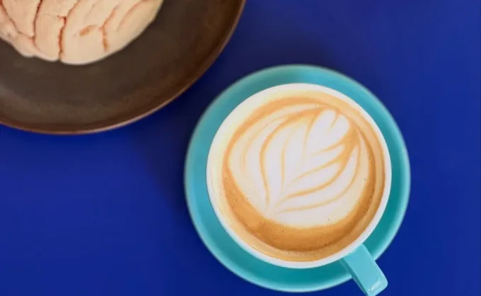 Los cafés siguen siendo, por mucho, los espacios favoritos de los regios para reunirse. Aquí 6 cafés nuevos en SPG y MTY con vinilos, arte y recetas originales
