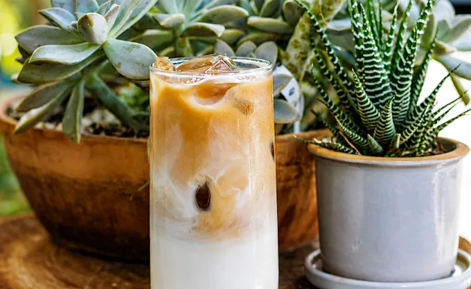 Estef Torres, creadora de "Ayy que antojo",  nos comparte sus 3 cafés favoritos en SPG: ambiente juvenil, mesas al aire libre y bebidas creativas con sabores de moda