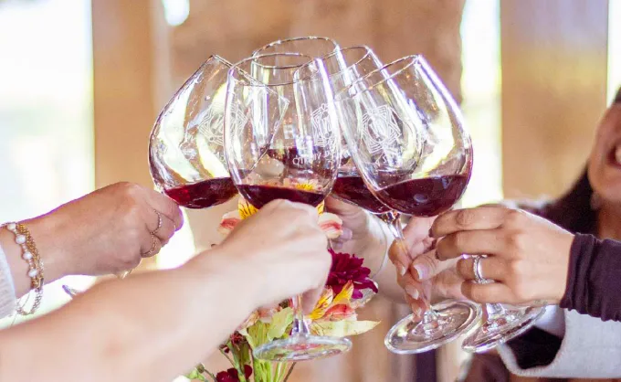 ¿Día del Padre con vino? Carlos el "Sosofróstico Solares" nos recomienda sus etiquetas favoritas de tintos con sabores intensos para maridar con carne asada