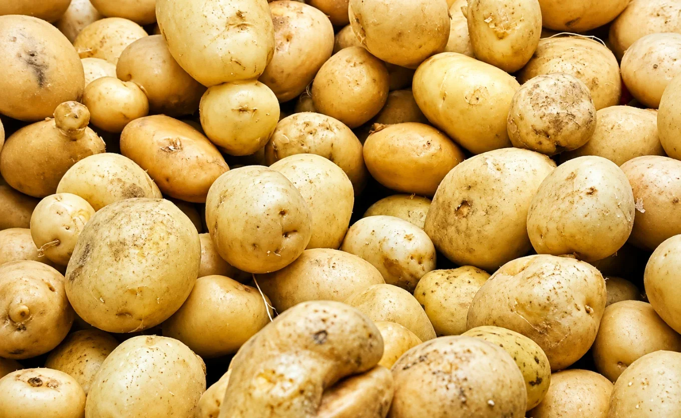La estética norteña y la cocina regional están de moda, pero en NL seguimos sin aprovechar nuestros productos locales: ¿por qué no consumimos más la papa Galeana?