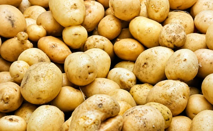 La estética norteña y la cocina regional están de moda, pero en NL seguimos sin aprovechar nuestros productos locales: ¿por qué no consumimos más la papa Galeana?
