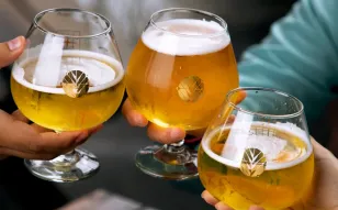 Taprooms de MTY celebrarán el IPA Day con líneas de cervezas artesanales especiales