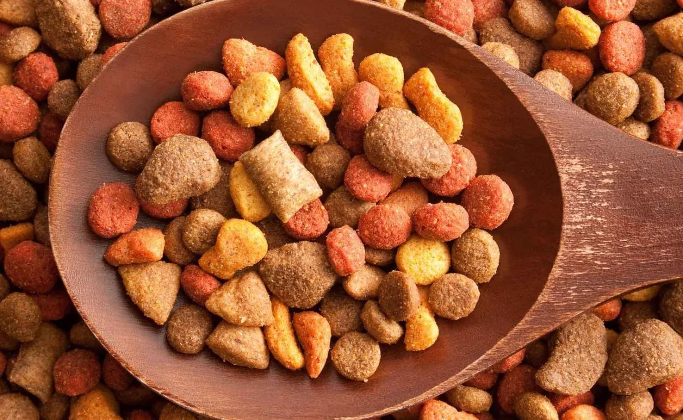 ¿Deberían existir las "croquetas para humanos"? Productos que contengan todos los nutrientes necesarios en la dieta y que sean fáciles y rápidos de consumir