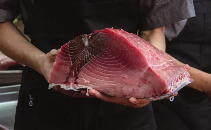 Chef japonés visitará Osaka Ryuu by Aromali en Escobedo para un ronqueo de atún en vivo