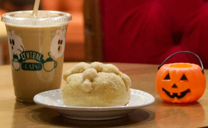 Halloween aterrizó en Central Cats con taller de pintura temático y películas de terror — Gastronomía en Monterrey, Nuevo León